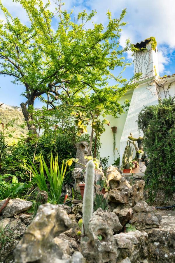 Los Cactus El Gastor Kültér fotó